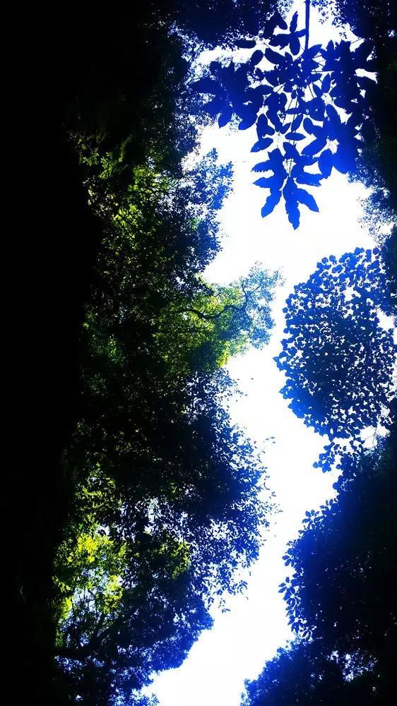 量子破碎